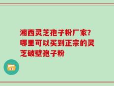 湘西灵芝孢子粉厂家？哪里可以买到正宗的灵芝破壁孢子粉