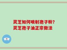灵芝如何喷射孢子粉？灵芝孢子油正宗做法