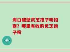 海口破壁灵芝孢子粉招商？哪里有收购灵芝孢子粉