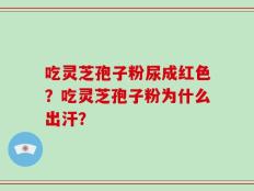 吃灵芝孢子粉尿成红色？吃灵芝孢子粉为什么出汗？