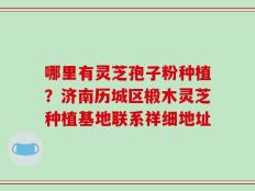 哪里有灵芝孢子粉种植？济南历城区椴木灵芝种植基地联系祥细地址