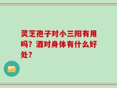 灵芝孢子对小三阳有用吗？酒对身体有什么好处？