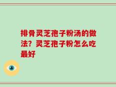 排骨灵芝孢子粉汤的做法？灵芝孢子粉怎么吃最好