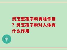 灵芝壁孢子粉有啥作用？灵芝孢子粉对人体有什么作用