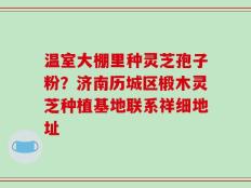 温室大棚里种灵芝孢子粉？济南历城区椴木灵芝种植基地联系祥细地址