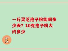 一斤灵芝孢子粉能喝多少天？10克孢子粉大约多少