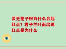 灵芝孢子粉为什么会起红点？君子兰叶面出现红点是为什么