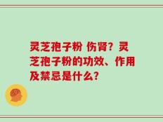 灵芝孢子粉 伤肾？灵芝孢子粉的功效、作用及禁忌是什么？