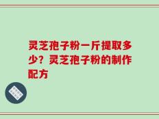 灵芝孢子粉一斤提取多少？灵芝孢子粉的制作配方
