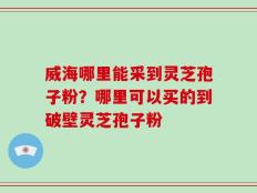 威海哪里能采到灵芝孢子粉？哪里可以买的到破壁灵芝孢子粉