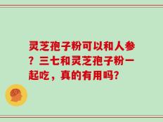 灵芝孢子粉可以和人参？三七和灵芝孢子粉一起吃，真的有用吗？
