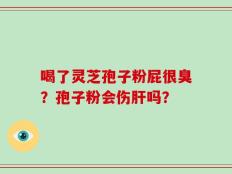 喝了灵芝孢子粉屁很臭？孢子粉会伤肝吗？
