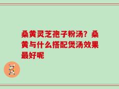 桑黄灵芝孢子粉汤？桑黄与什么搭配煲汤效果最好呢