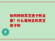 如何辨别灵芝孢子粉含量？什么是纯正的灵芝孢子粉