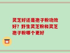 灵芝好还是孢子粉功效好？野生灵芝粉和灵芝孢子粉哪个更好