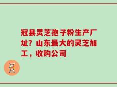 冠县灵芝孢子粉生产厂址？山东最大的灵芝加工，收购公司