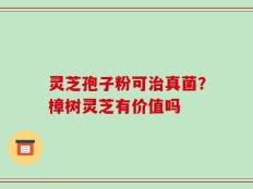 灵芝孢子粉可治真菌？樟树灵芝有价值吗