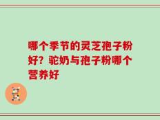 哪个季节的灵芝孢子粉好？驼奶与孢子粉哪个营养好