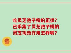 吃灵芝孢子粉的正状？已采集了灵芝孢子粉的灵芝功效作用怎样呢？