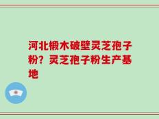 河北椴木破壁灵芝孢子粉？灵芝孢子粉生产基地
