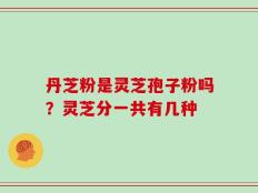 丹芝粉是灵芝孢子粉吗？灵芝分一共有几种
