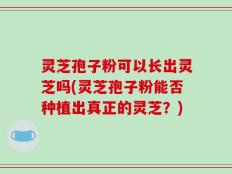 灵芝孢子粉可以长出灵芝吗(灵芝孢子粉能否种植出真正的灵芝？)