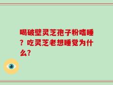 喝破壁灵芝孢子粉嗜睡？吃灵芝老想睡觉为什么？