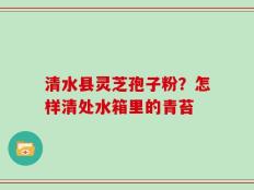 清水县灵芝孢子粉？怎样清处水箱里的青苔