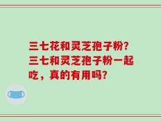 三七花和灵芝孢子粉？三七和灵芝孢子粉一起吃，真的有用吗？