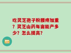 吃灵芝孢子粉腰疼加重？灵芝山药每亩能产多少？怎么提高？