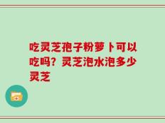 吃灵芝孢子粉萝卜可以吃吗？灵芝泡水泡多少灵芝