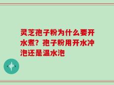 灵芝孢子粉为什么要开水煮？孢子粉用开水冲泡还是温水泡