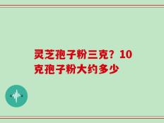灵芝孢子粉三克？10克孢子粉大约多少