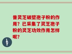 普灵芝破壁孢子粉的作用？已采集了灵芝孢子粉的灵芝功效作用怎样呢？