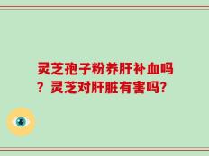 灵芝孢子粉养肝补血吗？灵芝对肝脏有害吗？