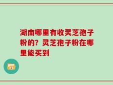 湖南哪里有收灵芝孢子粉的？灵芝孢子粉在哪里能买到