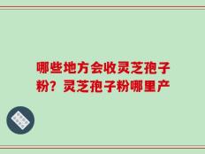 哪些地方会收灵芝孢子粉？灵芝孢子粉哪里产