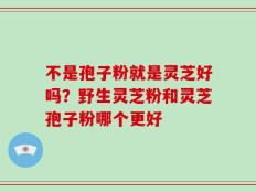 不是孢子粉就是灵芝好吗？野生灵芝粉和灵芝孢子粉哪个更好