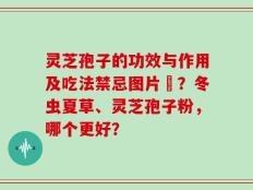 灵芝孢子的功效与作用及吃法禁忌图片祎？冬虫夏草、灵芝孢子粉，哪个更好？