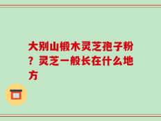 大别山椴木灵芝孢子粉？灵芝一般长在什么地方