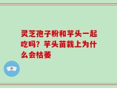 灵芝孢子粉和芋头一起吃吗？芋头苗栽上为什么会枯萎