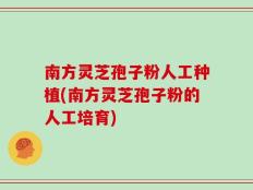 南方灵芝孢子粉人工种植(南方灵芝孢子粉的人工培育)