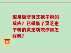 服用破壁灵芝孢子粉的反应？已采集了灵芝孢子粉的灵芝功效作用怎样呢？