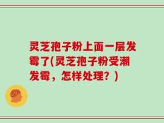 灵芝孢子粉上面一层发霉了(灵芝孢子粉受潮发霉，怎样处理？)