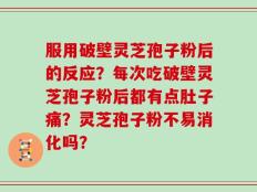 服用破壁灵芝孢子粉后的反应？每次吃破壁灵芝孢子粉后都有点肚子痛？灵芝孢子粉不易消化吗？