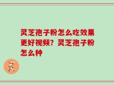 灵芝孢子粉怎么吃效果更好视频？灵芝孢子粉怎么种
