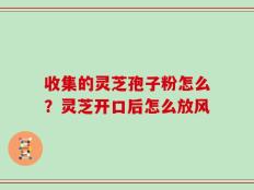 收集的灵芝孢子粉怎么？灵芝开口后怎么放风