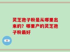 灵芝孢子粉是从哪里出来的？哪里产的灵芝孢子粉最好
