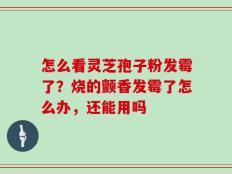 怎么看灵芝孢子粉发霉了？烧的颤香发霉了怎么办，还能用吗