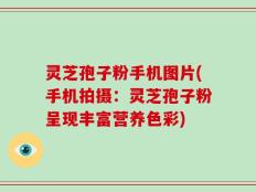 灵芝孢子粉手机图片(手机拍摄：灵芝孢子粉呈现丰富营养色彩)